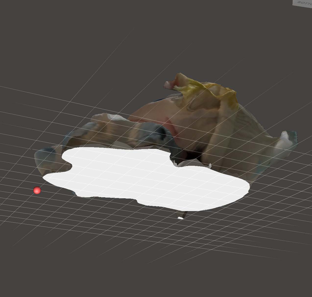 This is the screenshot of cotton doll #1 in MeshMixer